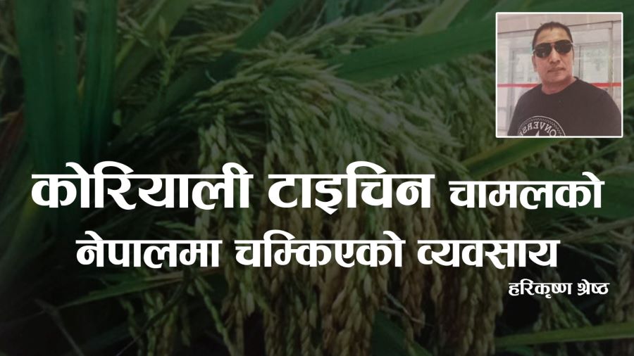 Netizen Nepal