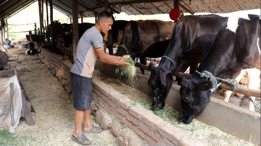 Netizen Nepal